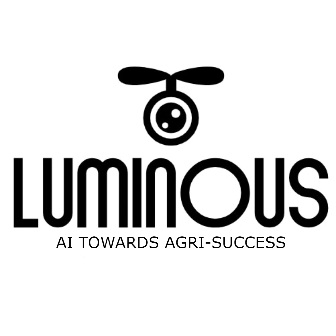 Luminous logo